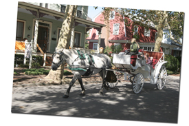 cape may carriage tours